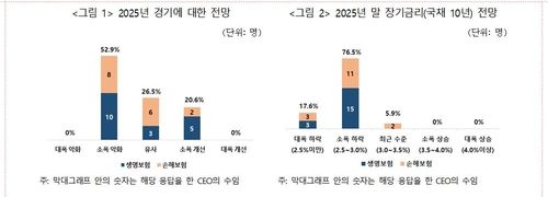 보험 CEO들의 내년 경기 전망은…"올해에 비해 소폭 악화" - 2
