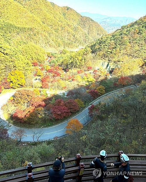 단풍으로 물든 단양 보발재