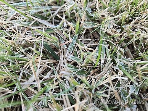 기상청, 서울 첫서리 관측