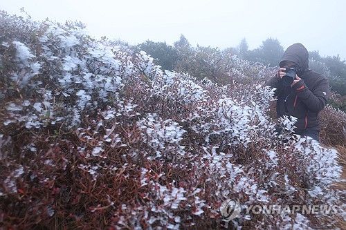 겨울옷 갈아입는 한라산, 상고대 활짝