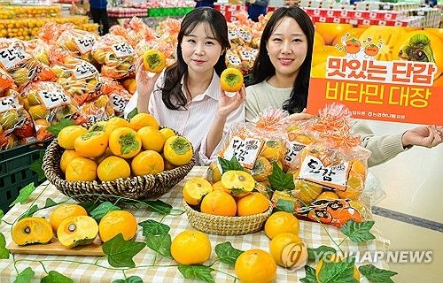 '제철 단감 드시고 건강 챙기세요'