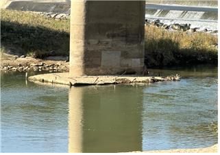 금계교 하부 침식된 부분