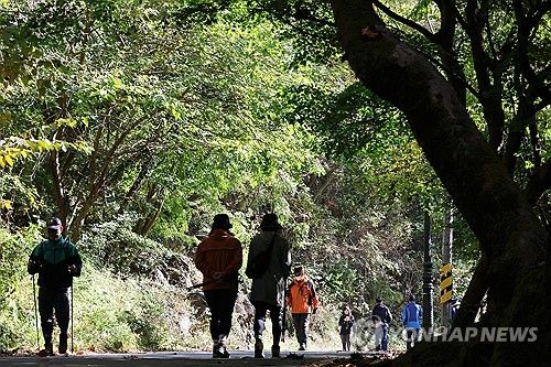 '지각 단풍'으로 초록빛 무등산