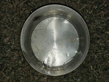 대전에서 올가을 관측된 첫얼음