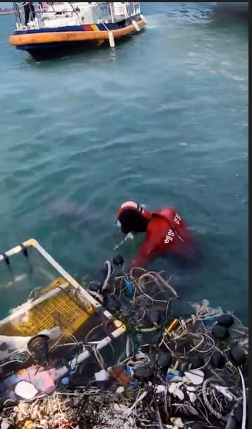 아기 상괭이 구조하는 해양경찰