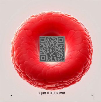 세계에서 가장 작은 QR코드와 인간 적혈구 비교