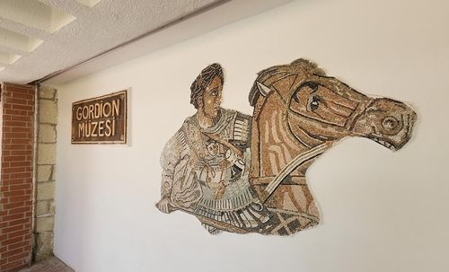 고르디온 박물관의 알렉산더 대왕 모자이크 [사진/성연재 기자] 