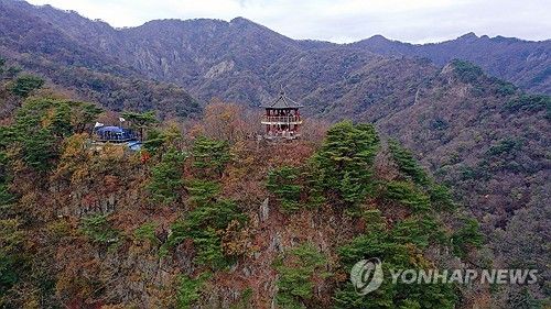 지는 내장산 단풍