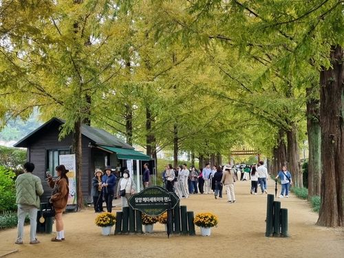 전남 담양군 관광지