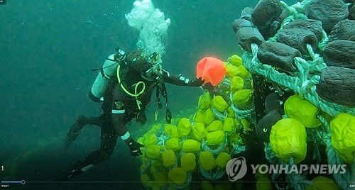 금성호 침몰사고 수중 수색