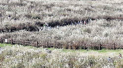 산굼부리의 가을