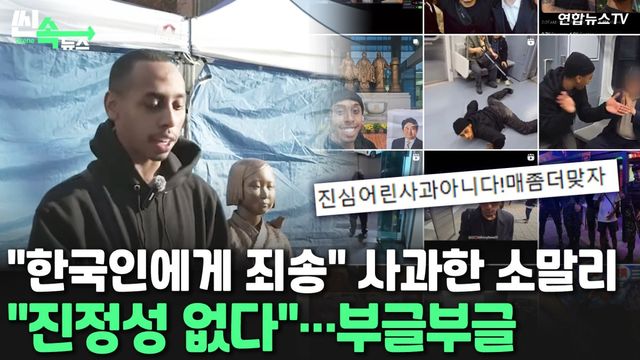 [씬속뉴스] '소녀상 모욕' 소말리 "사과"에도 반응은 싸늘…패악질 영상은 안내렸다