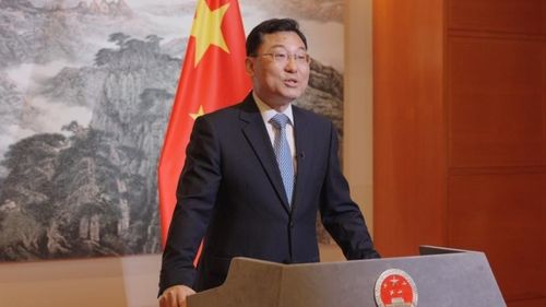 셰펑 주미국 중국대사