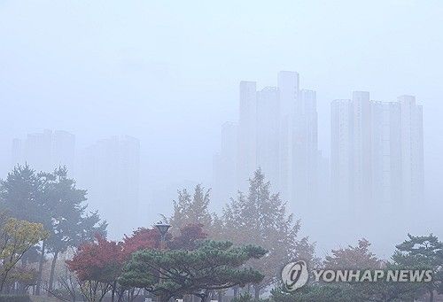 강원 춘천 시내 짙은 안개