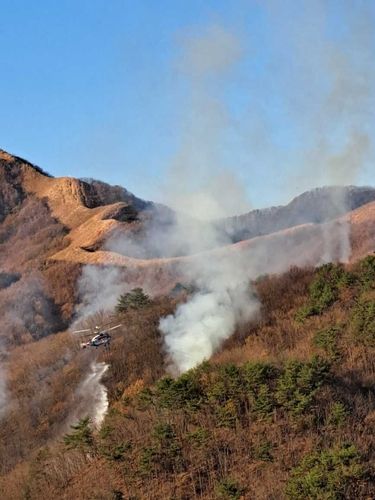 홍천 군 사격장 산불