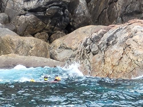 고립자 구조하는 동해해경