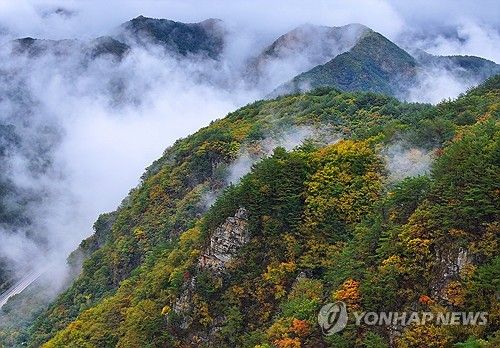 깊어 가는 가을