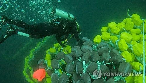 금성호 침몰사고 수중 수색