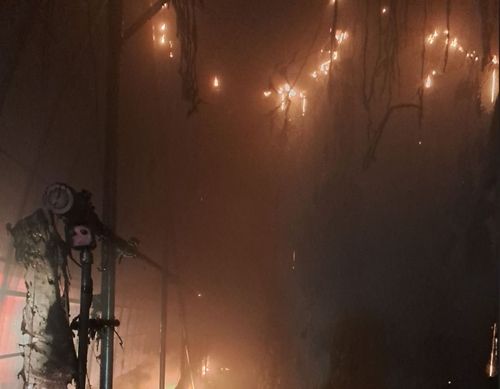 철원 파프리카 농장 화재