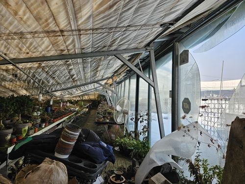 비닐하우스 철골 무너져 내리고 유리창 깨진 중앙농원 내부