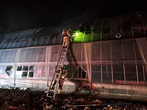 철원 파프리카 농장 화재 현장