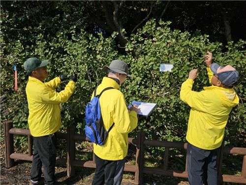 산림자원보존 사업단으로 활동하는 노인 일자리 사업 참여자들