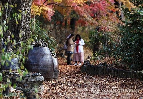 [연합뉴스 자료사진]
