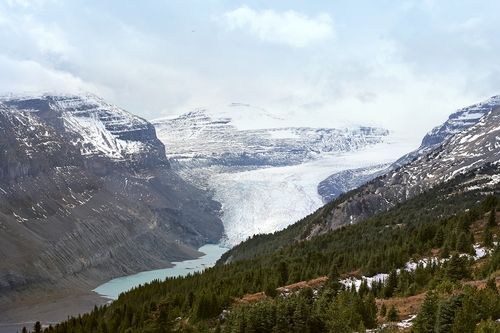 사스카츄완 빙하 [사진/조보희 기자]