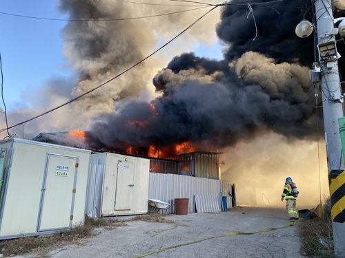 양양군 손양면 돈사화재