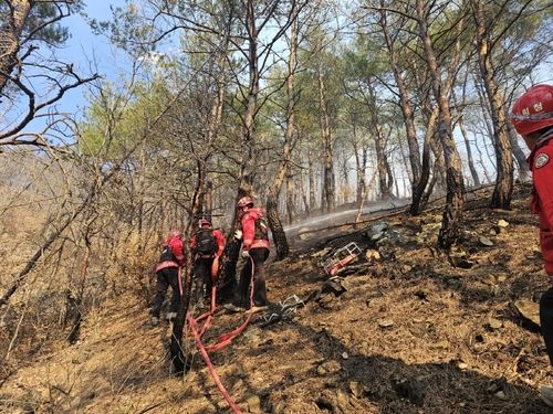 울진 산불 진화