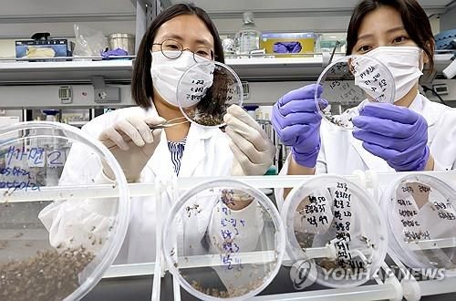 모기 분류 작업