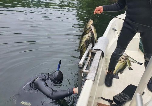 지난 9월 청평호에서 진행한 생태계 교란 생물 퇴치작업