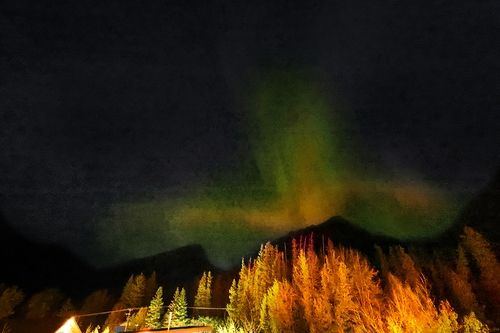 밴프 시내에서 만난 오로라 [사진/조보희 기자]