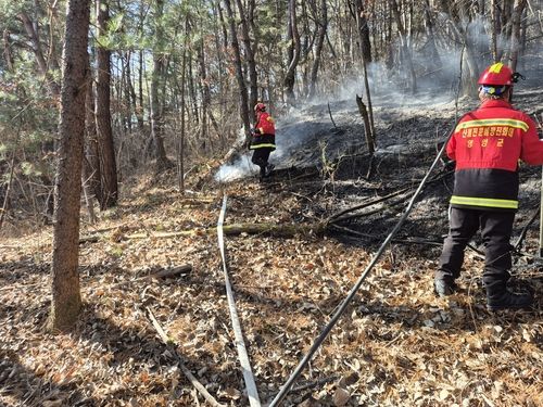 영양 산불 진화