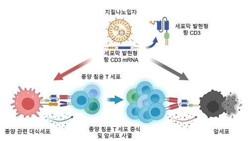 mRNA 치료제를 이용한 암세포 사멸 전략 모식도