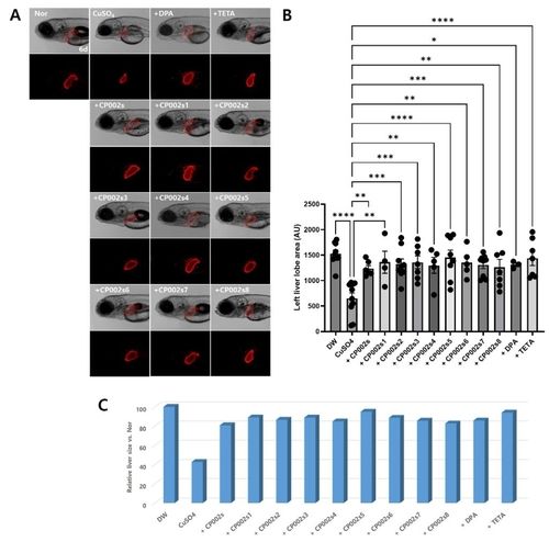 해양생물 유래 펩타이드가 구리 대사 이상 간 기능 개선
