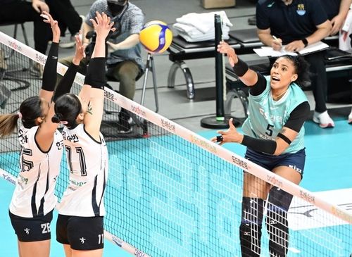 실바 막는 한국도로공사