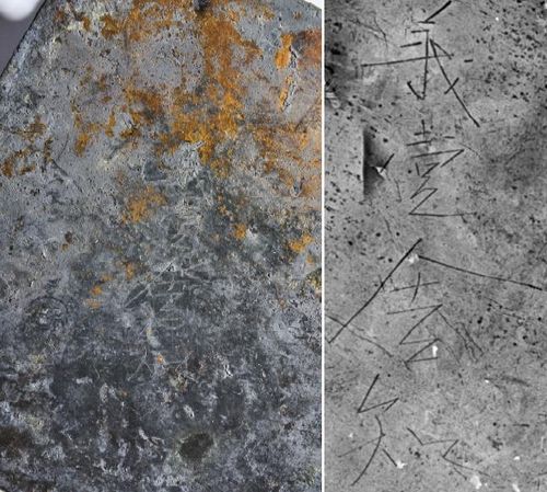 '의일사지(義壹舍知)' 글자가 새겨진 모습 