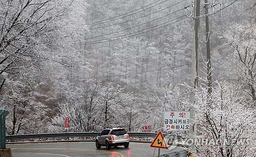 대설특보 속 설국으로 변한 대관령
