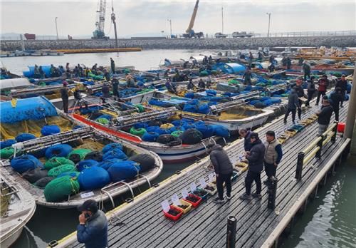 햇김 위판 현장