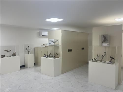 국립생물자원관이 탄자니아 야생생물연구소에 마련한 생물표본실. [자원관 제공. 재판매 및 DB 금지]