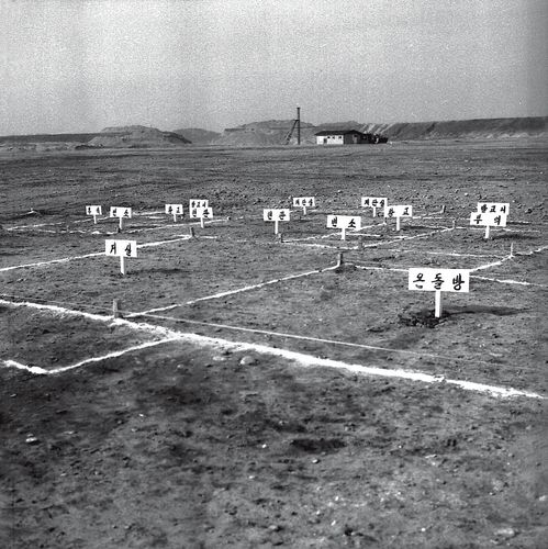 잠실 주공아파트 착공 무렵. 바닥에 아파트 도면을 표시했다. 1975년 [한국토지주택공사 제공]