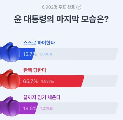 윤석열 대통령 탄핵 투표 결과