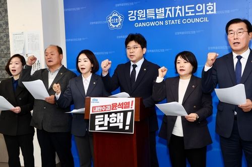 김진태 지사 비판 성명 발표하는 민주당 도의원들