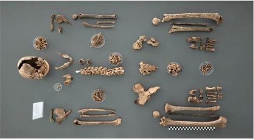 안희문 하사 유해