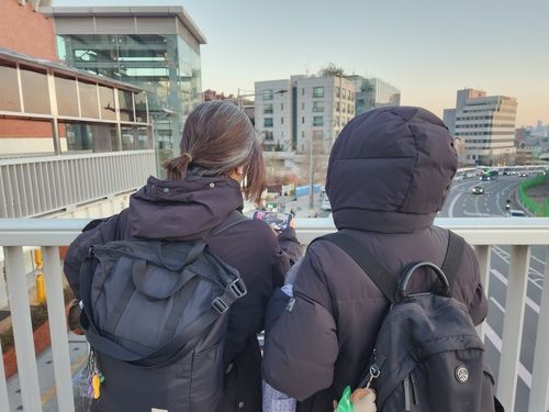 대통령 한남 관저 인근 육교에서 국회 소식을 지켜보는 시민들