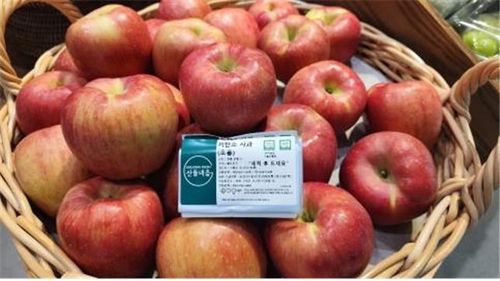 저탄소 인증 사과