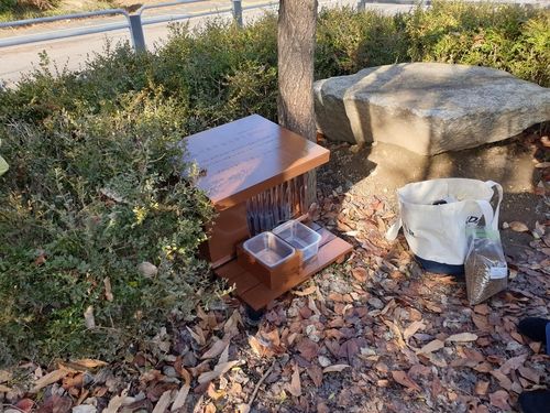 서초구 길고양이 급식소