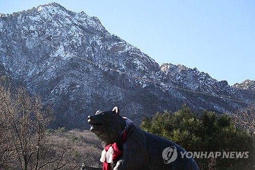 눈 덮인 설악산 고지대
