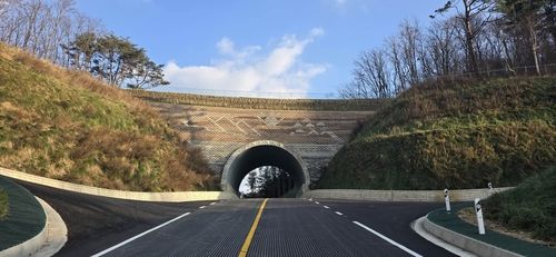 인제군 군도 6호선